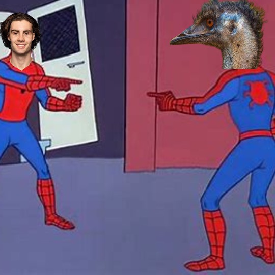 Josh Giddey, like the emu, shouldn’t be defined by what he can’t&nbsp;do